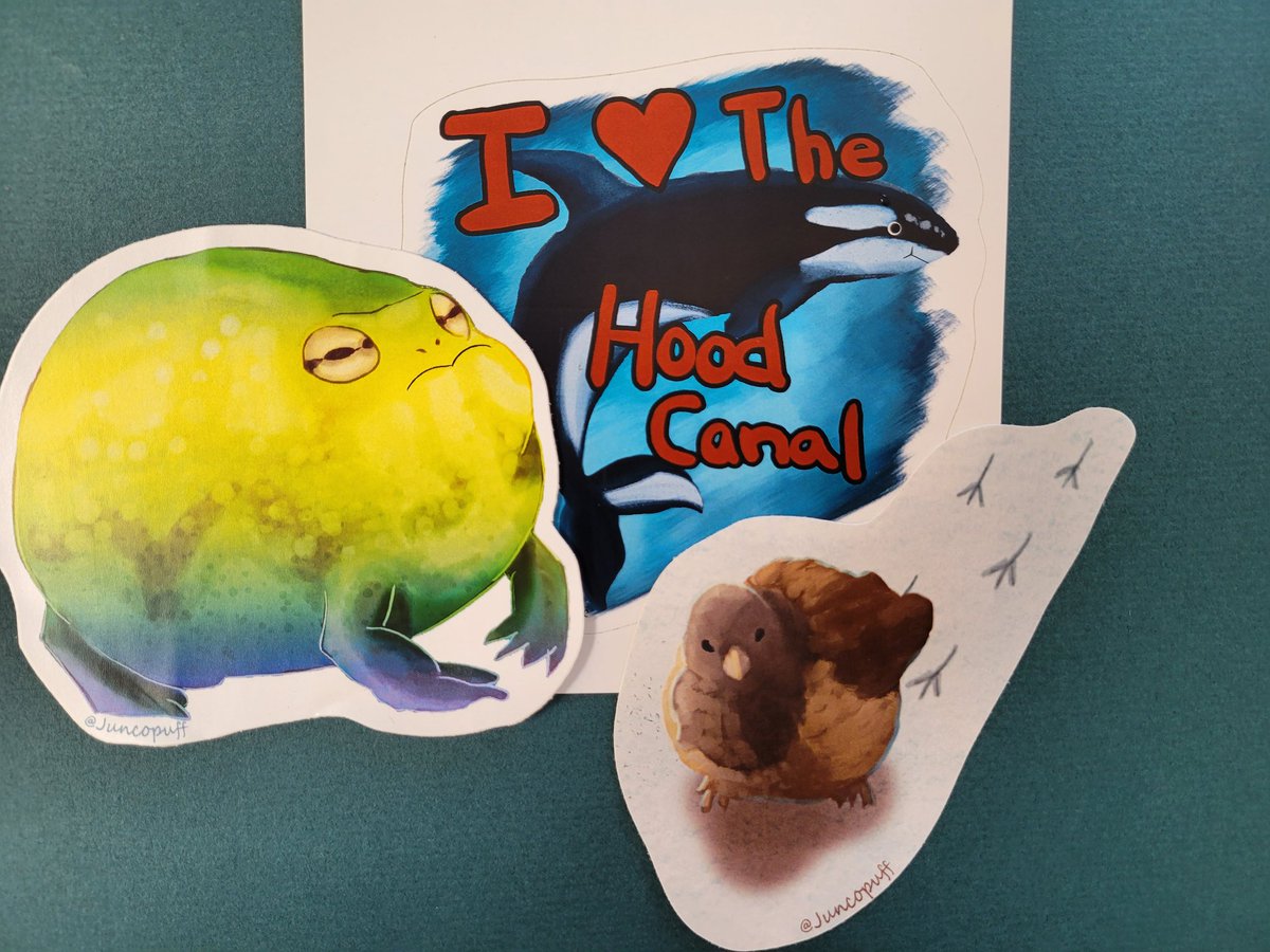 JuncoPuff's tweet photo. 3 more stickers in the shop!! https://t.co/mzmmsIT0km
Desert frog, little junco in snow, and hood canal orca 😊

#orca #hoodcanal #supportsmallartists #kofishop #desertfrog #stickers #junco #supportsmallbusiness #digitalart #ArtistOnTwitter #Artist https://t.co/jCS5lr1u5k