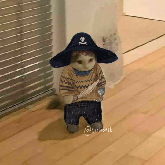 sirboast's tweet image. Here you go @piratelockk a pirate kitty.😌// tags:  #sherlock #bbcsherlock #sherlocktwt #sherlockholmes #sherlocked