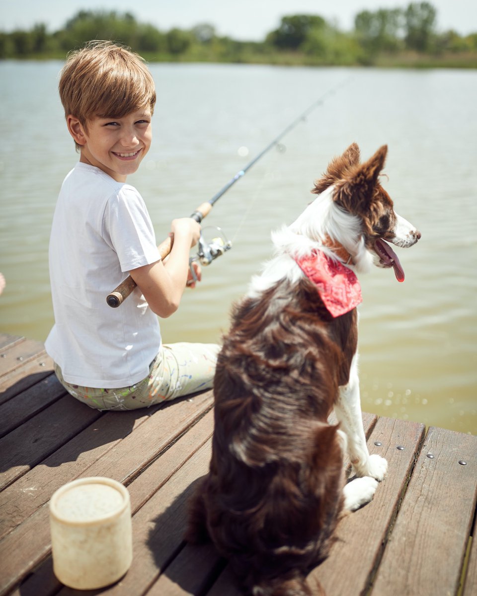 toss_ups's tweet photo. My hooman said if I don't eat the fish, I get #TossUps™! 🍿
#NationalFishingDay

Shop dog treats here: https://t.co/gOhAzriKfV

#KidandDog #DogFishing #FishingDog #LakeDog #CabinDog #DogsOfTwitter #DogLover #DogLife #TwitterDog #CabinLife https://t.co/0Ai4d02BXA