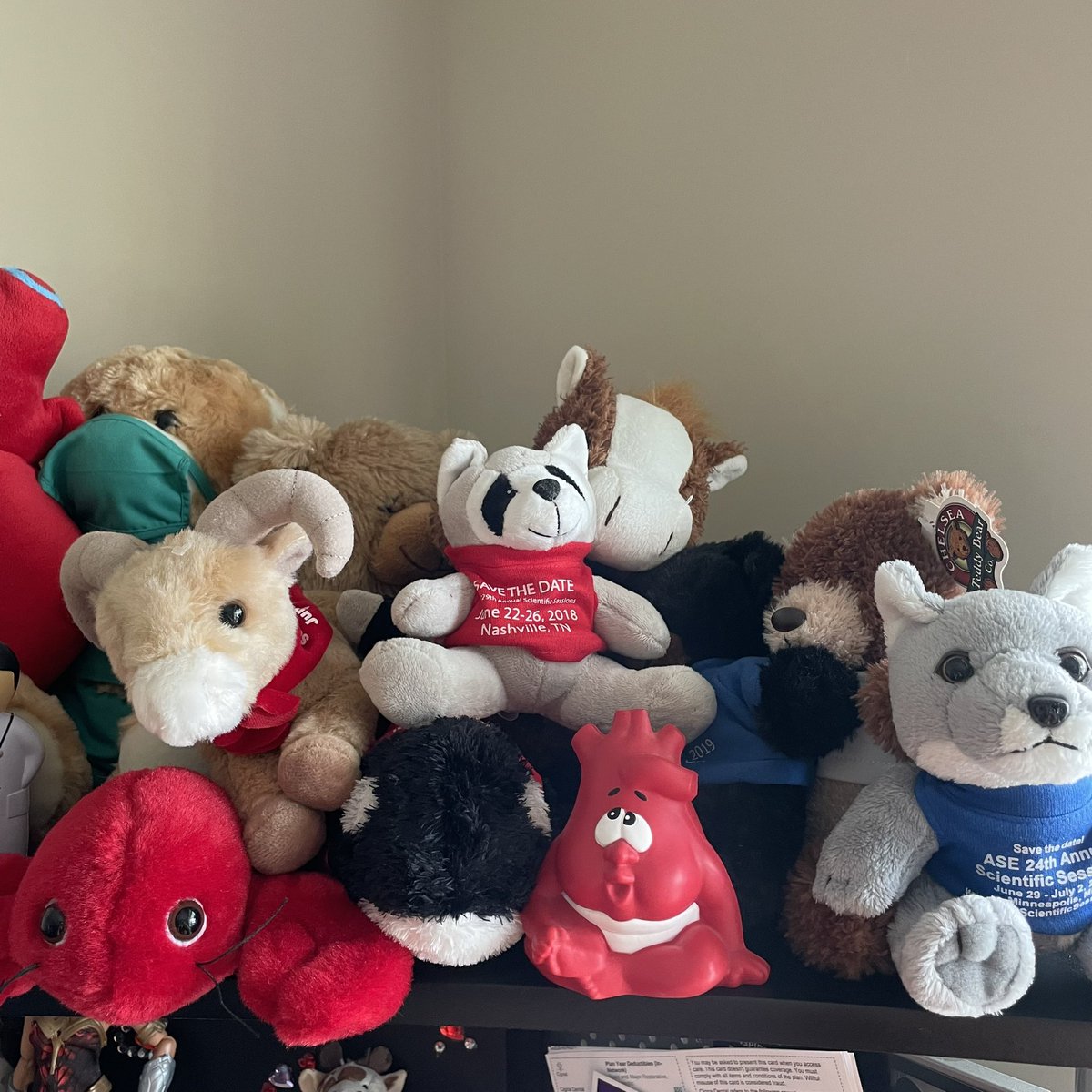 nehasonipatel's tweet photo. Missing the @ASE360 Exhibit hall and all the goodies I would bring back for my lab @CleClinicKids …so I just walked around my home office 🤣 #ASE2021 #VirtualEcho #EchoAtHome #IAmEchoNerd #PedEchoFTW #SonographerNotTech https://t.co/aMgzX3tlaB