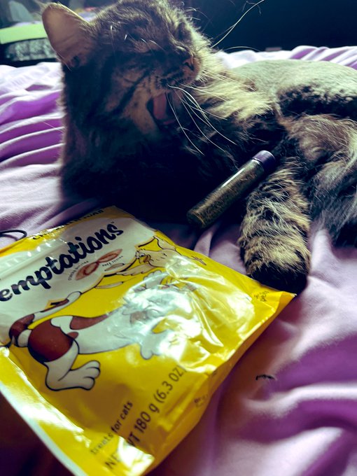 TW Pornstars - Penny Poison. The latest pictures and videos from Twitter for all time. Page 6