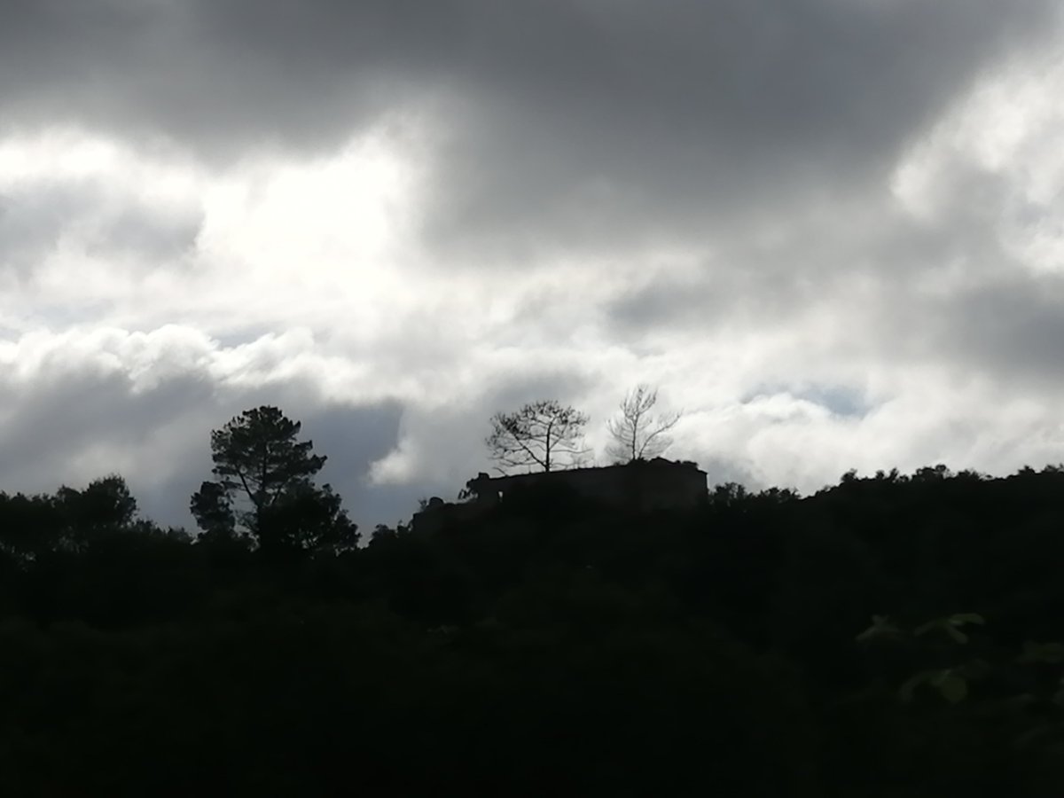 CarlosH85430696's tweet photo. Perto da minha casa estes pinheiros, cenouras-bravas ("Daucus carota") e as ruínas da Ermida da Senhora das Bróteas (ou Brotas), construída sobre os vestígios de outra depois de a primeira ter sido destruída pelo terramoto de 1755. #ermida #hermitage #hiking #spring #walk https://t.co/lE0fdEVcP1