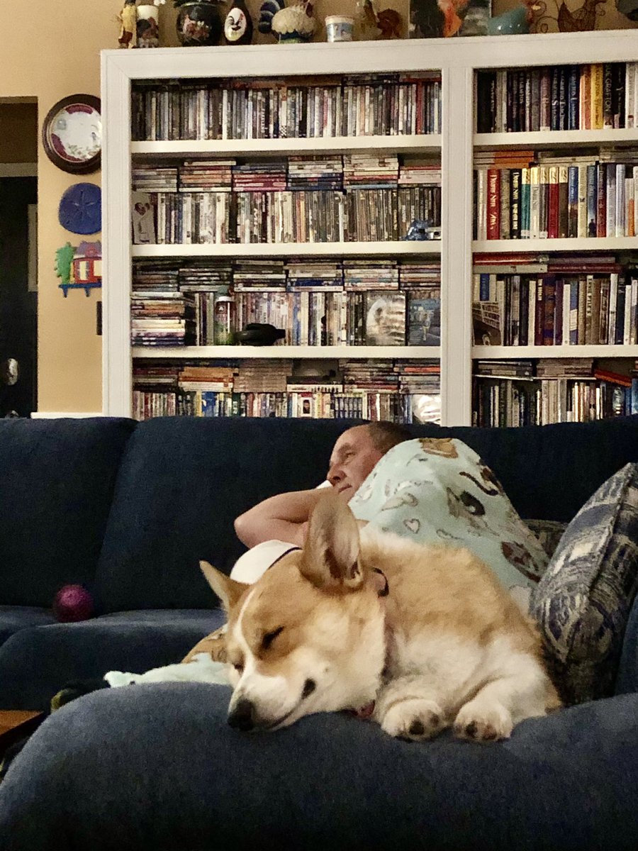 weddedcastlefan's tweet photo. @MollyQuinn93 Lucy in Indiana 💤 https://t.co/Z9LJSxNIxT