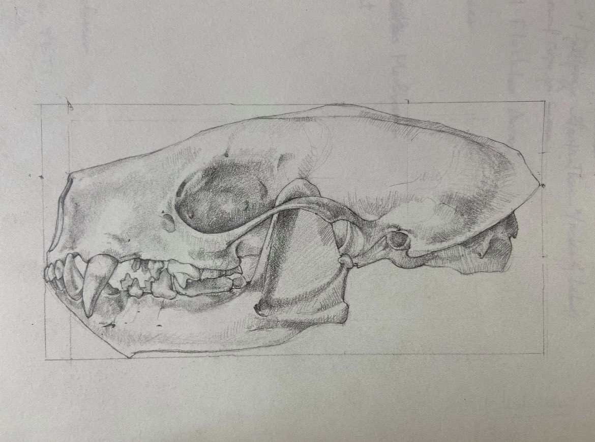 FrogtownArts's tweet photo. Still time to sign up for our free class “Introduction to Scientific Illustration” with instructor Marly Beyer-June 19th 4pm on Zoom. RSVP: https://t.co/ZsZi9UuiHU. #artclass #freeclasss #art https://t.co/3FUbd9TEAf