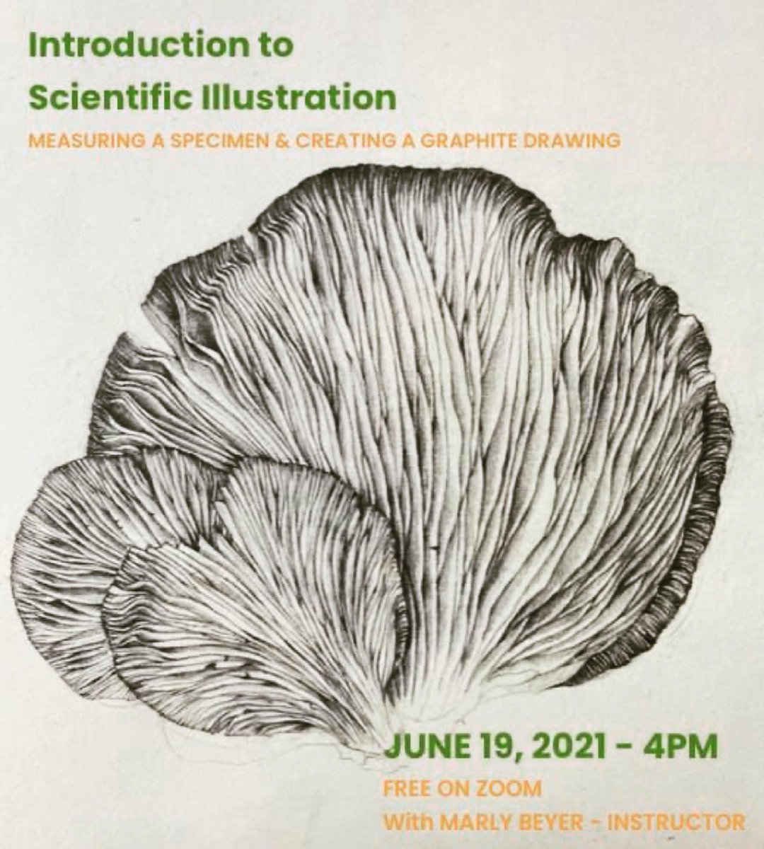 FrogtownArts's tweet photo. Still time to sign up for our free class “Introduction to Scientific Illustration” with instructor Marly Beyer-June 19th 4pm on Zoom. RSVP: https://t.co/ZsZi9UuiHU. #artclass #freeclasss #art https://t.co/3FUbd9TEAf