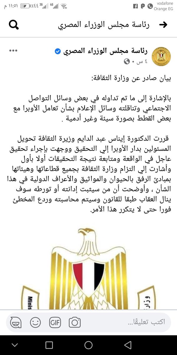 save_an_animals's tweet photo. نتمنى معاقبة كل من ساهم فى هذه الجريمة 
أصدقائي ف الرفق وجميع النشطاء لحقوق الحيوان عاوزين نتفق على هاشتاج موحد نرد بيه ف صفحة رئاسة مجلس الوزراء أننا ضد قتل وتسميم الحيوانات

#اقاله_رئيس_دار_الاوبرا_المصرية
#محاكمة_دار_الاوبرا
#الطب_البيطري_قتلة https://t.co/INclCtCeXA