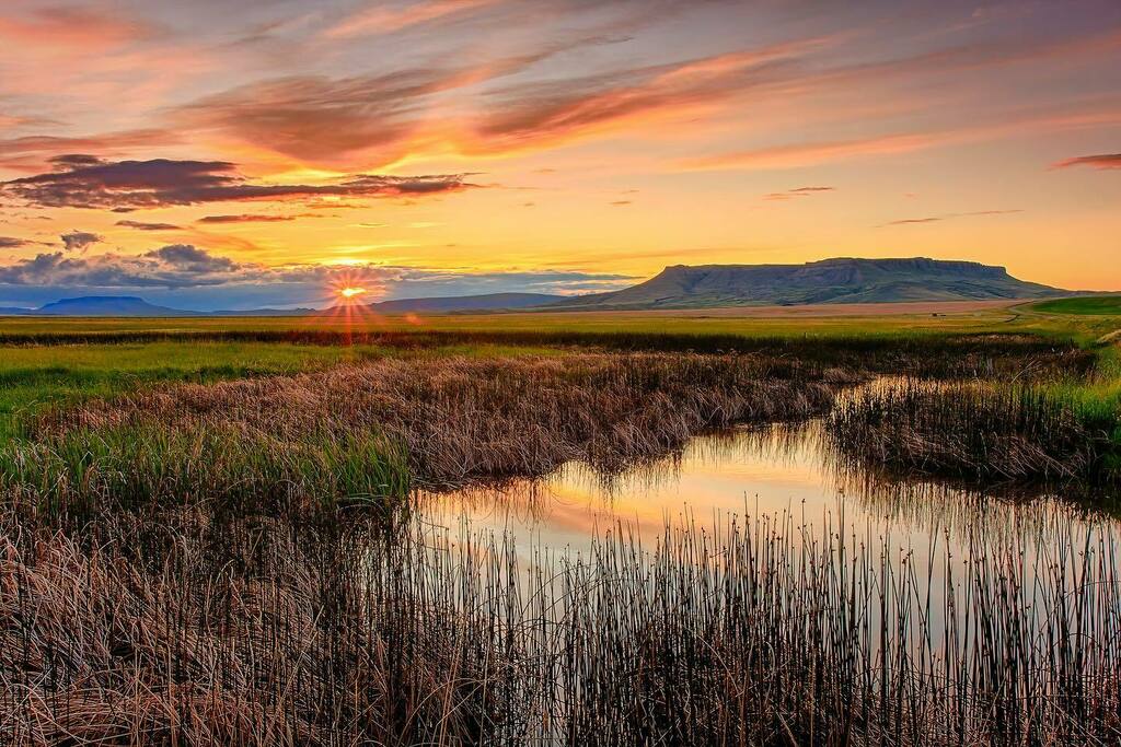 MontanaImgs's tweet photo. Sunset on the Montana prairie…..
#montanagram #bigskycountry #lastbestplace #montanamoment #laccolith #butte #theoldwest #corpsofdiscovery #Montana https://t.co/Eziy9zTIWe https://t.co/vli4WZ2szU