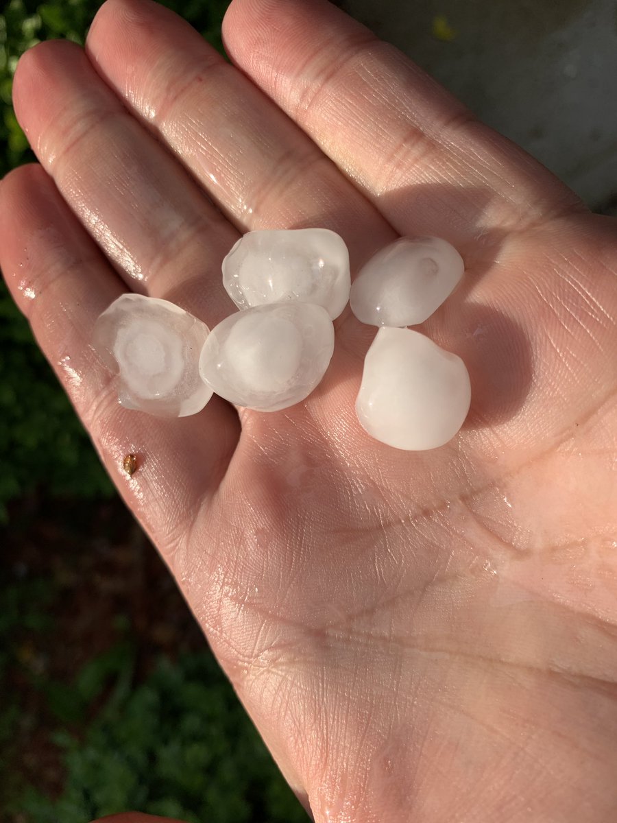 Some dime size hail coming out of this storm in lower Hamilton county. <a href="/SeanAshWX/">Sean Ash</a> <a href="/WTHRcom/">WTHR.com</a>