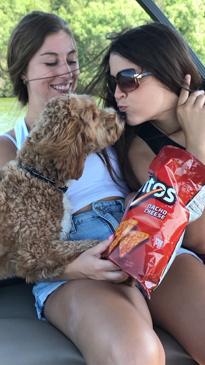 conniejump66's tweet photo. #TeamDoritos https://t.co/Mk5cw64p7m