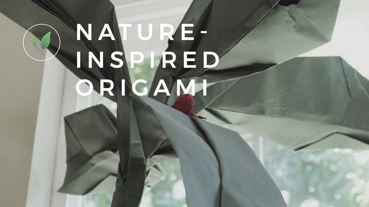 "All of my representational work is based on #nature, and my best origami designs come only after a very close look at the natural subject."- Dr. Robert Lang, 
<a href="/NASA/">NASA</a> Physicist:
l8r.it/c5Iu

🌱 Uncover the influence of #nature on origami design: