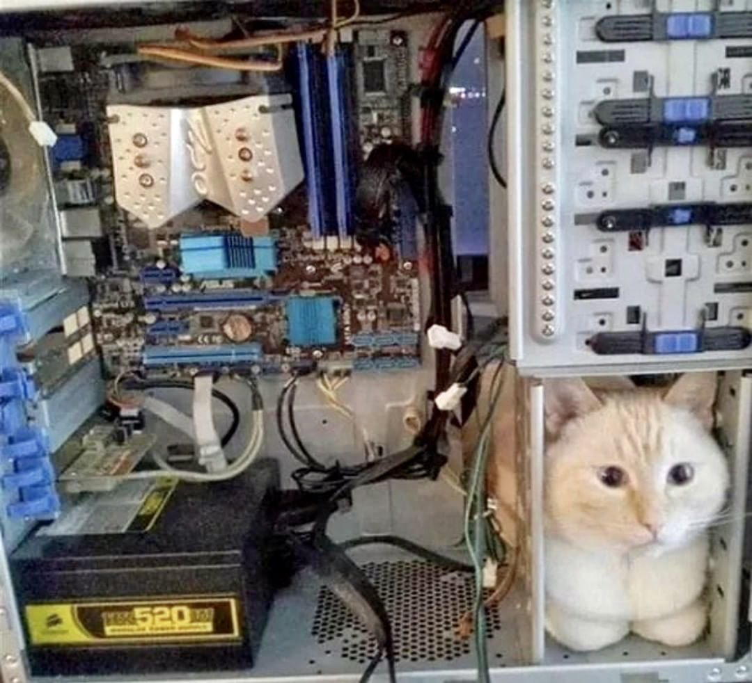 compdadjokes's tweet image. 