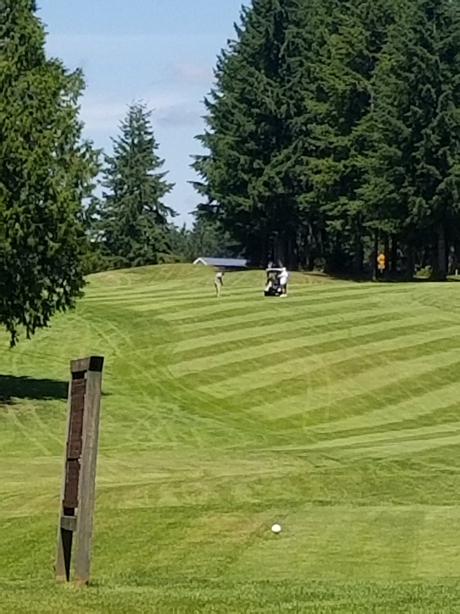 Tom_the_tinman's tweet image. @Softykjr hey softy! Nice drive off the first tee on the gen 3 course. Out drove dick by atleast 40 yards. He hooked it into the trees lol.  Really enjoyed playing the imaculent @LLVGCC  wish my game had matched the very fair course