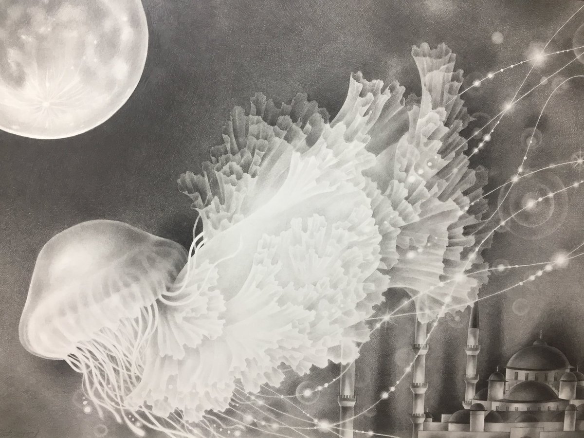 鉛筆海月 #アート #art #pencil #drawing #pencildrawing #jellyfish