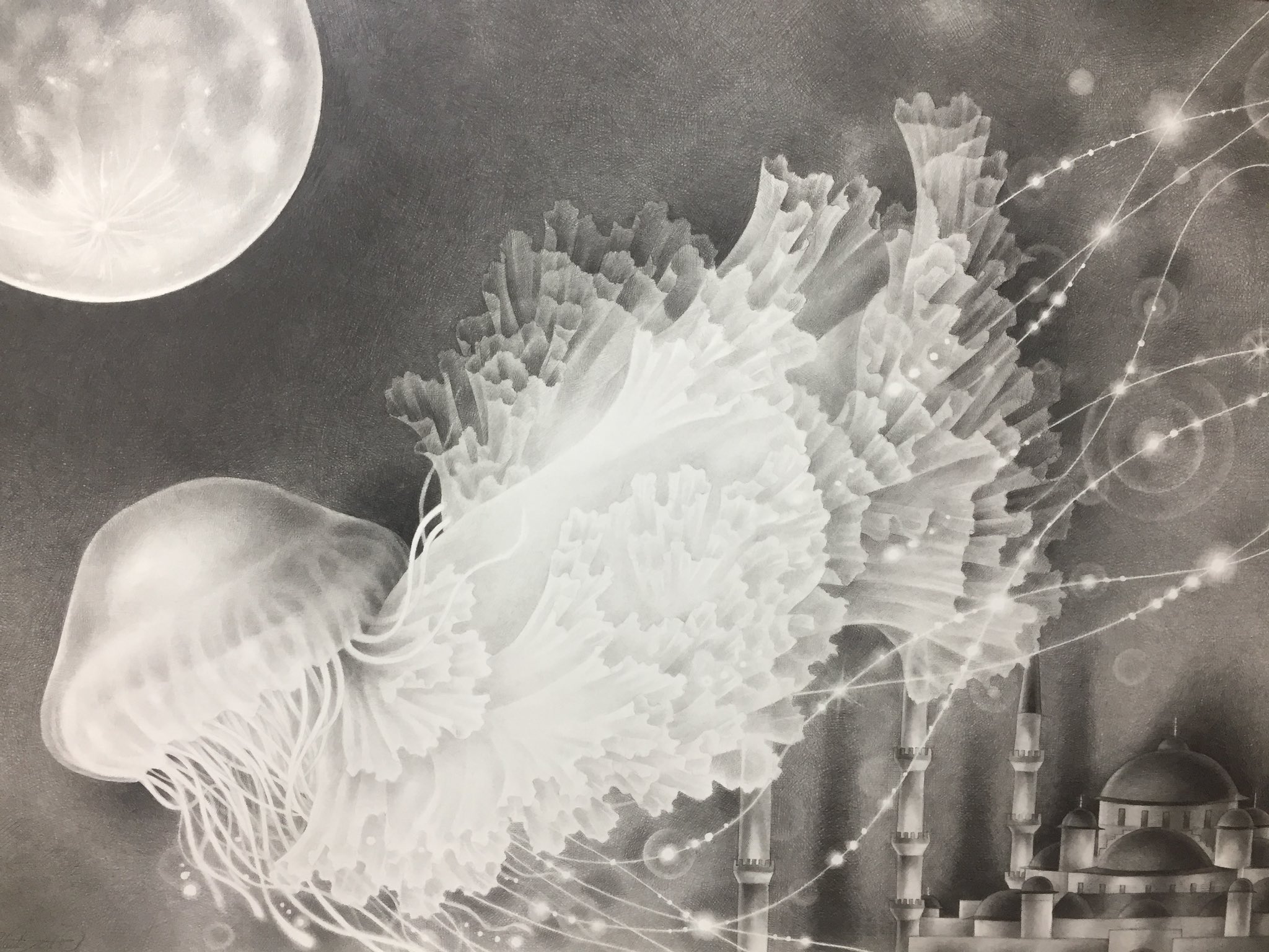 クラゲ　鉛筆画　原画 Jellyfish drawing