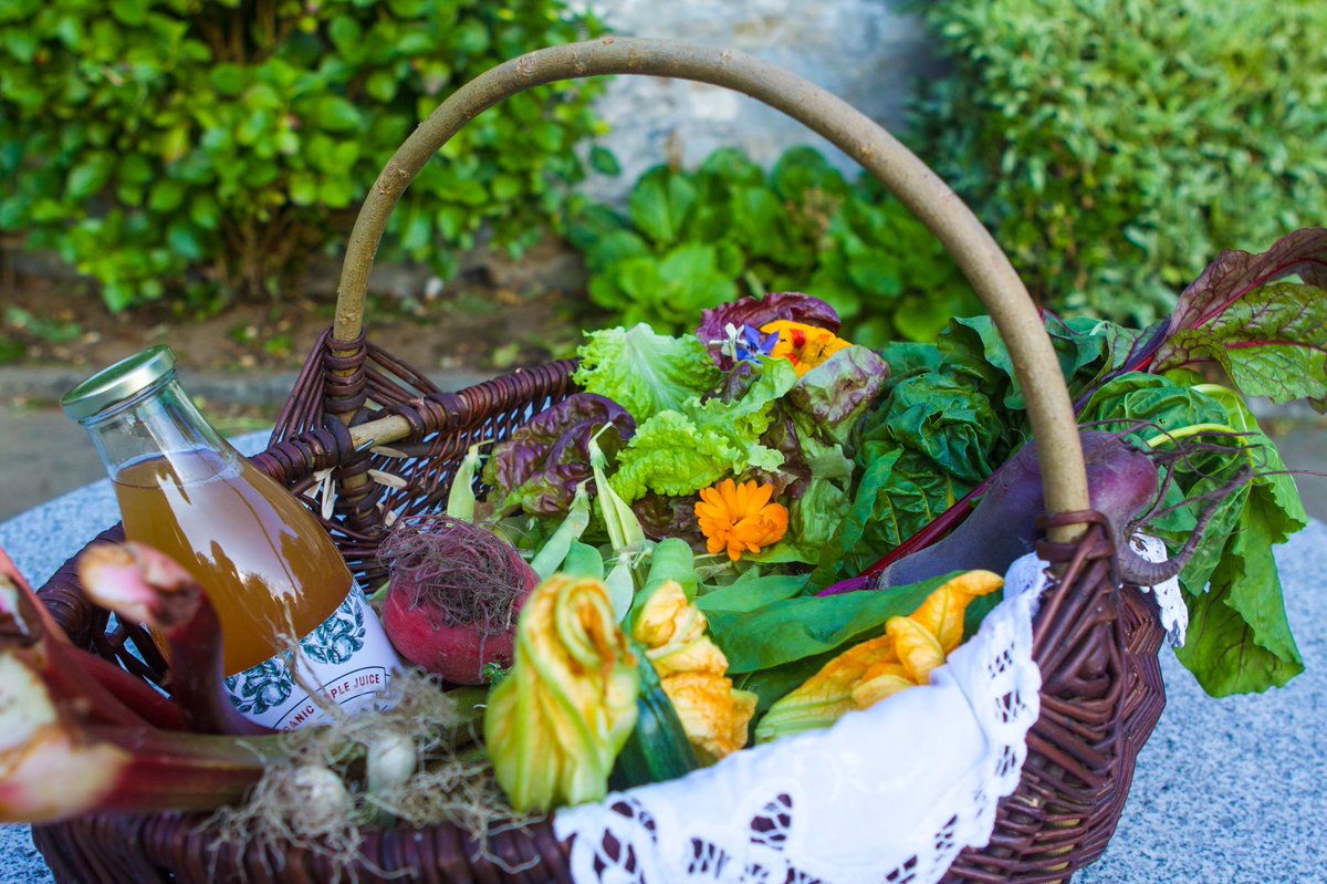 nanatweether's tweet photo. It comes in a box, or you can bring a basket! @enniscoehouse organic gardens weekly box scheme. I also joined @MayoAncestors horticulture course. 1 week in, blown away by the curriculum + the expertise, generosity and kindness of Aine, teacher and seed guardian extraordinaire. https://t.co/v23IUFKxhC