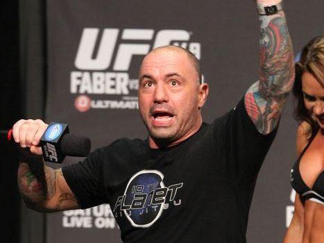 Joe Rogan roasts CNN's Brian Stelter, says his show is 'f ing terrible'