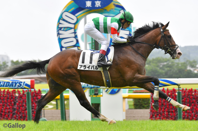 gallop_keiba's tweet photo. 東京5R、新馬戦は1番人気アライバルが勝利！ クリストフ・ルメール騎手と栗田徹調教師がグータッチ！ 姉に今年の牝馬クラシック戦線で活躍したククナがいます。
#アライバル https://t.co/yl19nTgYnD