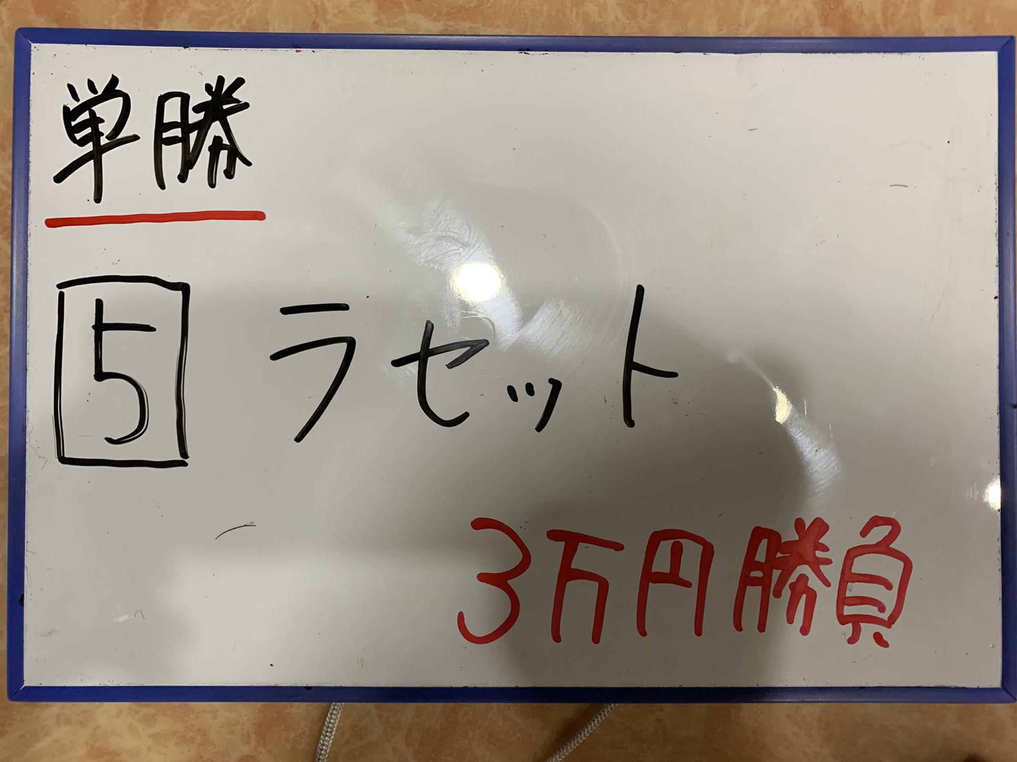 たぁーさんtv 阪神11レース 良い子は真似するなよ