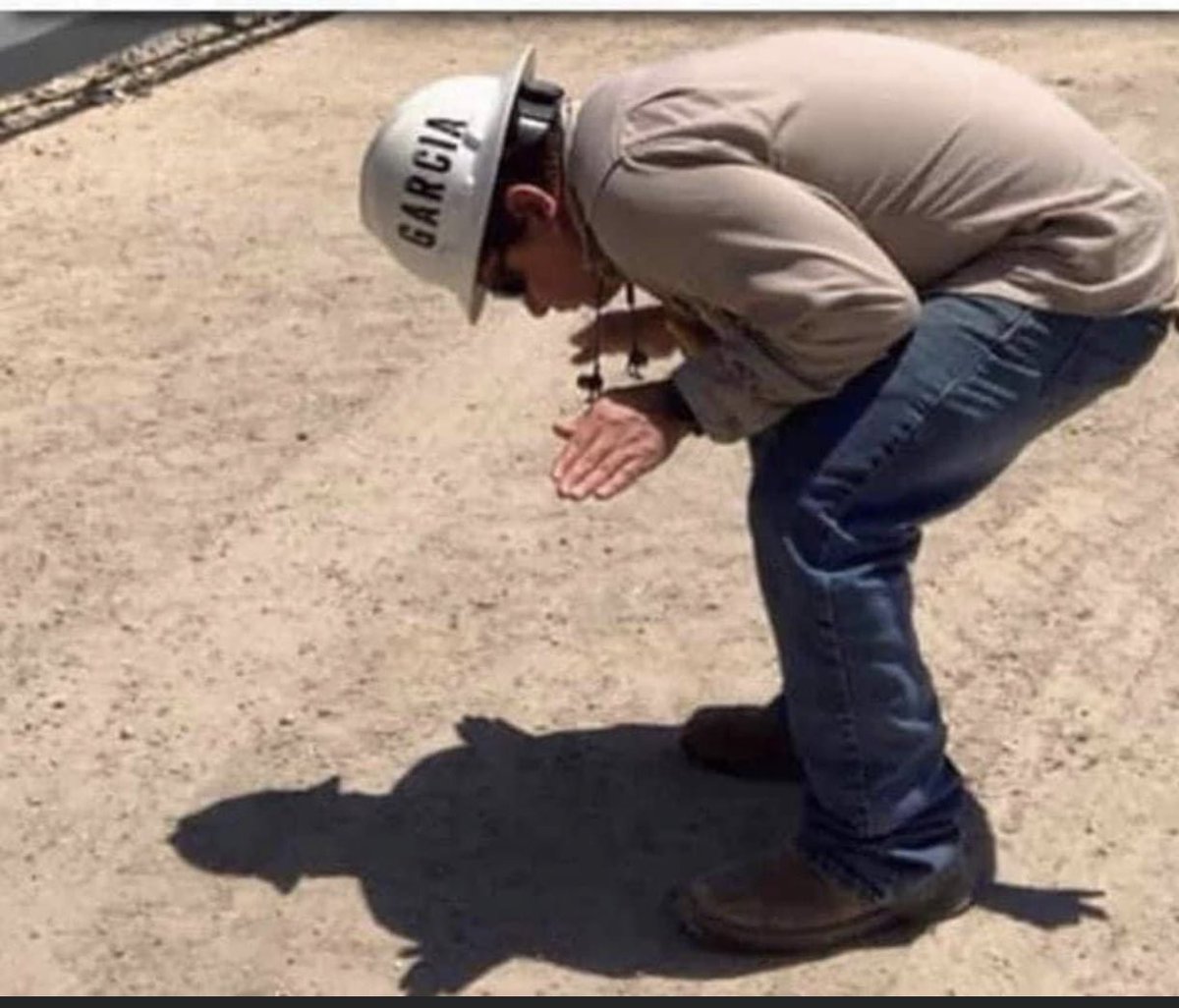 ipachik4ever's tweet photo. @BenJammn920 here’s your next shadow challenge even though I’m still waiting for the last pic.🤣 like your boss already doesn’t think your crazy. #TurtleChallenge 🤣🤣 https://t.co/2XVEOq21Uc