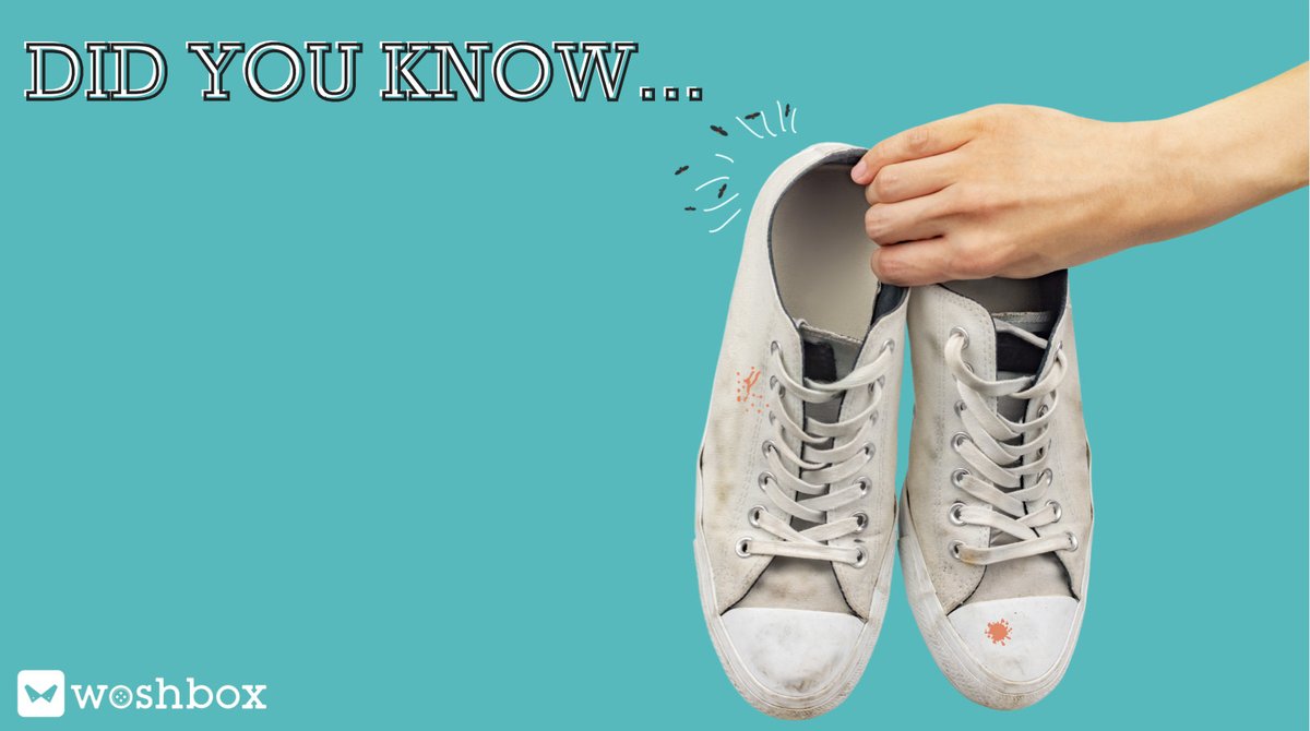 getwoshbox's tweet photo. Did you know? (Most) sneakers are washable!👟👟Today may be #NationalFlipFlopDay, &amp; we know your open-toed footwear is here to stay for a while...That means summer🌞 is a great time to clean your sneakers. Be cautious w/ fully leather shoes. In fact, let us handle them for you! https://t.co/f30WOuAoid