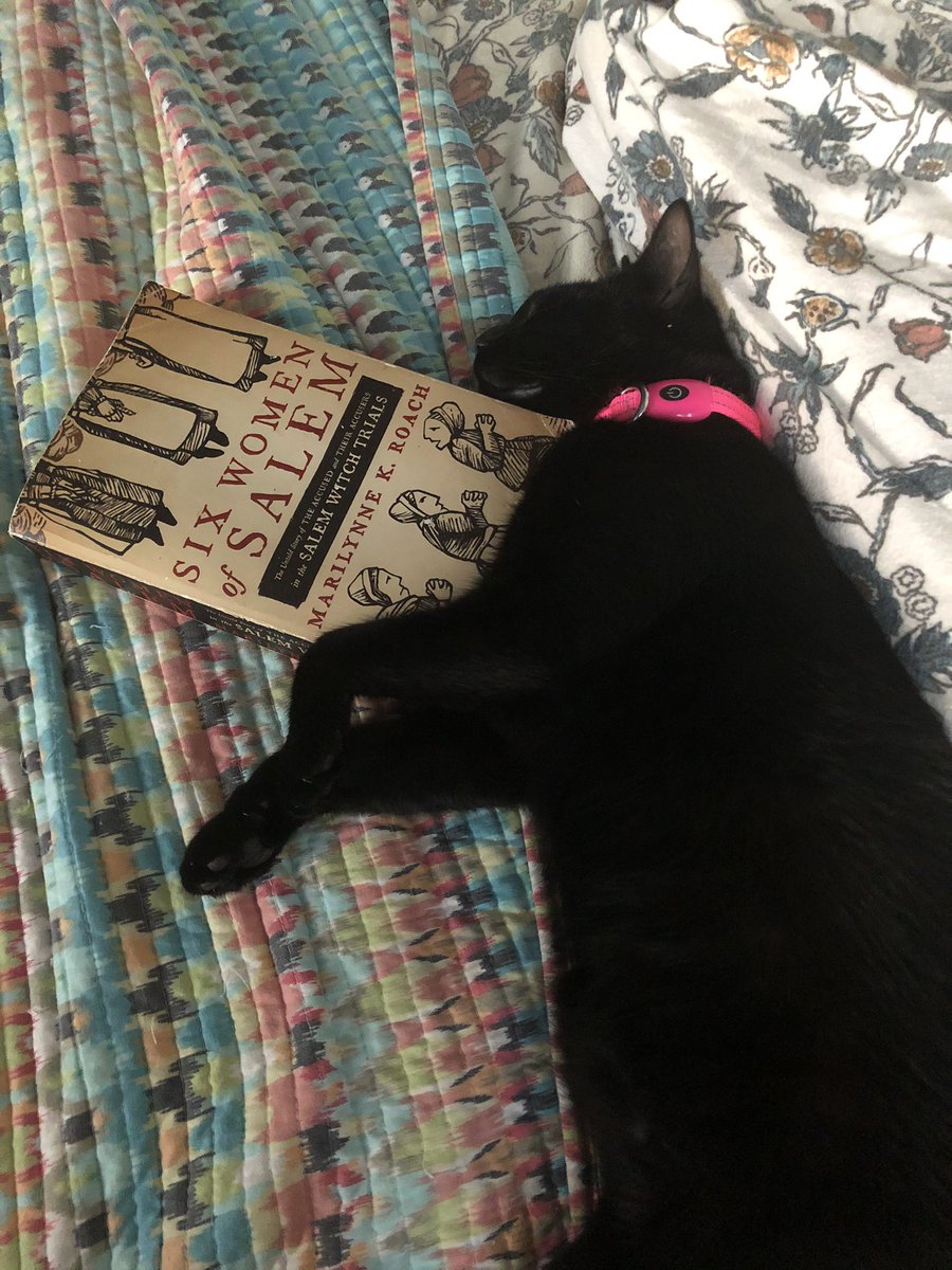 RemarkablePod's tweet image. My research assistant is sleeping on the job.