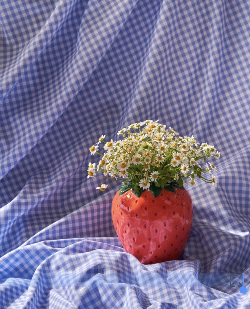 morgiebug's tweet photo. 🍓STRAWBERRY GIVEAWAY🍓

✨winner will get the strawberry vase and two “strawberry” themed handpainted displays

✨ends when i hit 2.5k

✨rules
     - mbf me!
     - like, rt, &amp; tag a pal
     - no qt rts pls
     - see thread for more info https://t.co/28lB152UO4