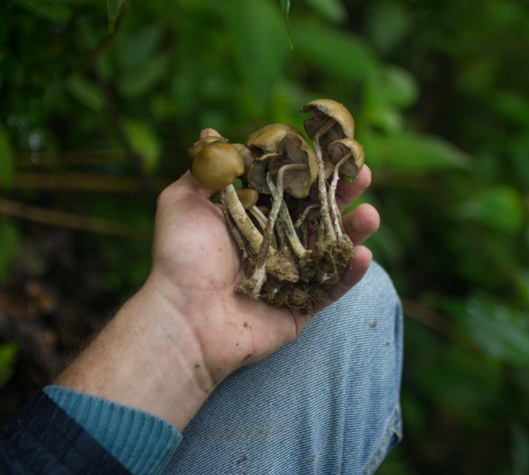 Marcos Garcia tweet media