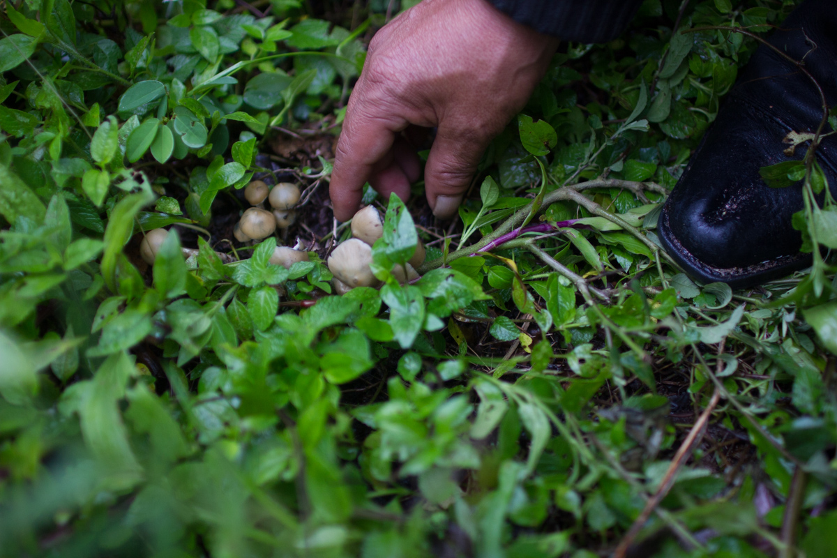 Marcos Garcia tweet media