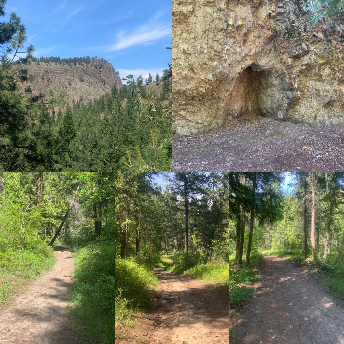 bluepink8488's tweet photo. Day #148 Afternoon Scenic Canyon Regional Park In Kelowna Also Today Day#12 Virtual Torch Run From June 7 to 20 #VirtualBCLETR @BCLETR @sobcsociety #SOBCChallengeGames #Region2 https://t.co/sDsI4PhW6u