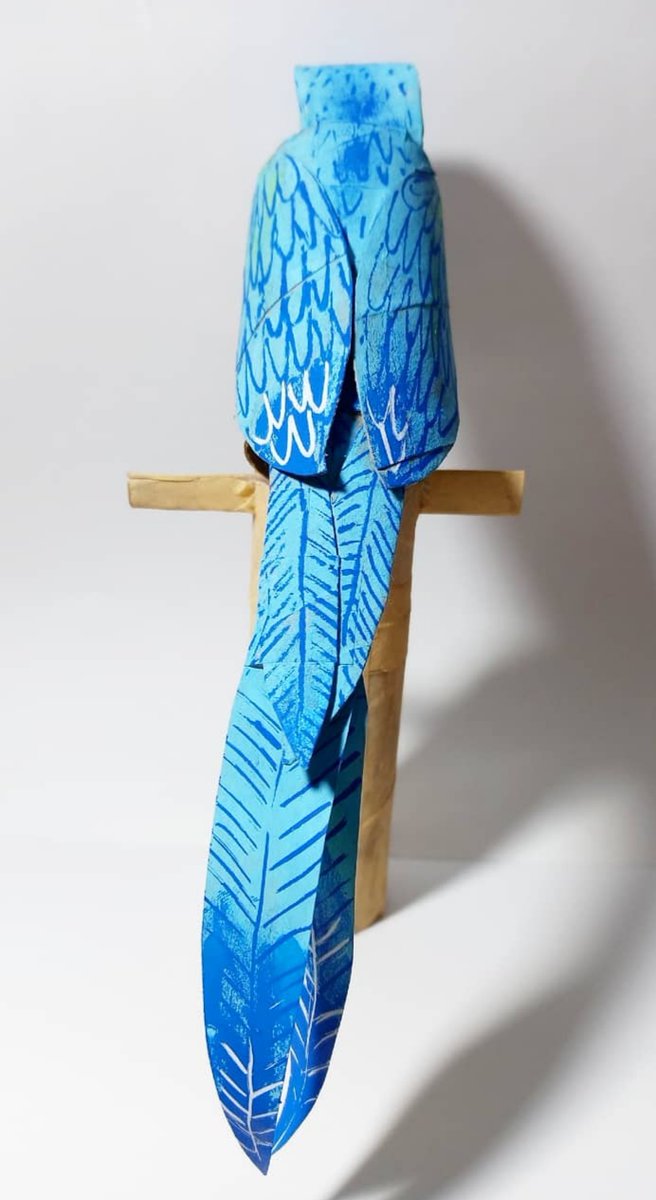 29. Ara glaucogularis: guacamayo barbazul, blue-throated macaw.
#onemilliononemonth #1m1mvol3 #endangeredspecies #enpeligrodeextinción