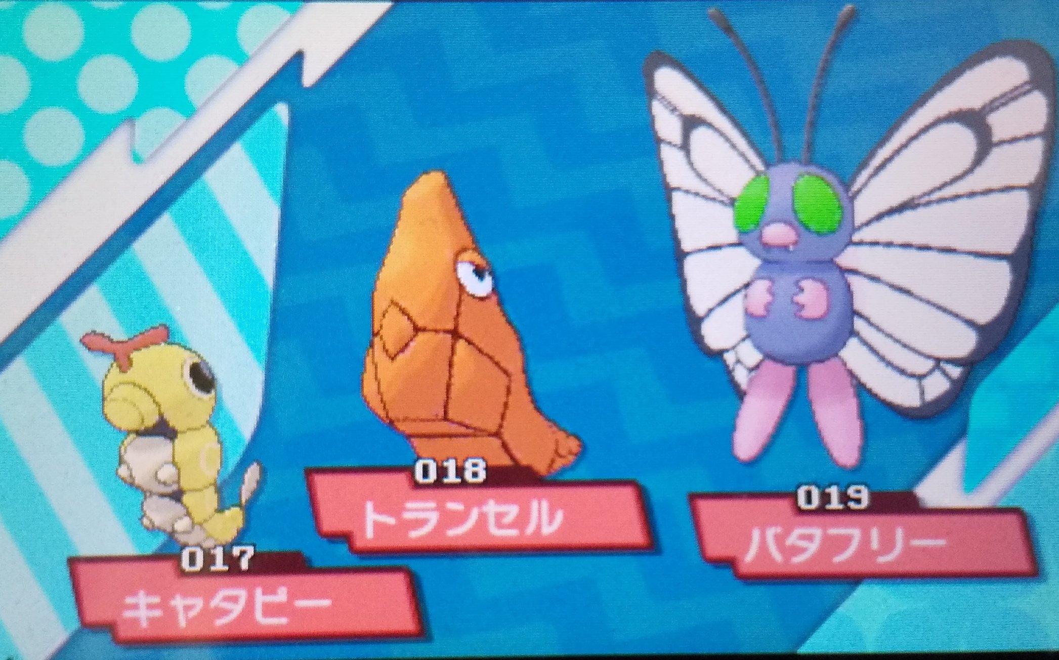 かずポケ 色違いキャタピー トランセル バタフリー 初めて仲間呼び連鎖で出たポケモンです バタフリー の色違いってアニメで出てきた全身ピンクのバタフリーになると思っていましたが 目が緑になるんだとびっくりしました でも可愛い 色違い