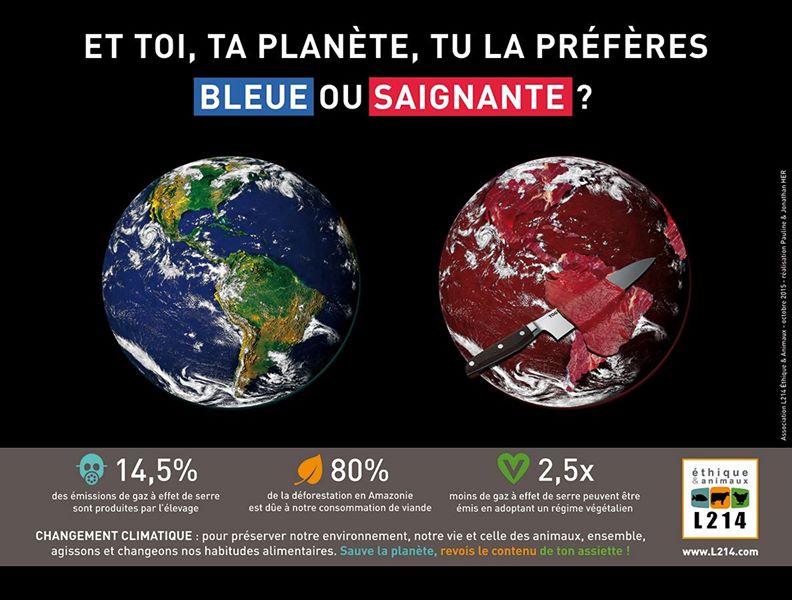 OElevage's tweet photo. La première chose à faire serait de baisser notre consommation de viande. Je sais à quoi vous pensez sûrement actuellement, vous vous dites que vous ne pouvez pas le faire, que c’est irréalisable ! Mais, lisez les #astuces pour y parvenir dans nos prochains post.🍔📢 https://t.co/wUDenrm0fz