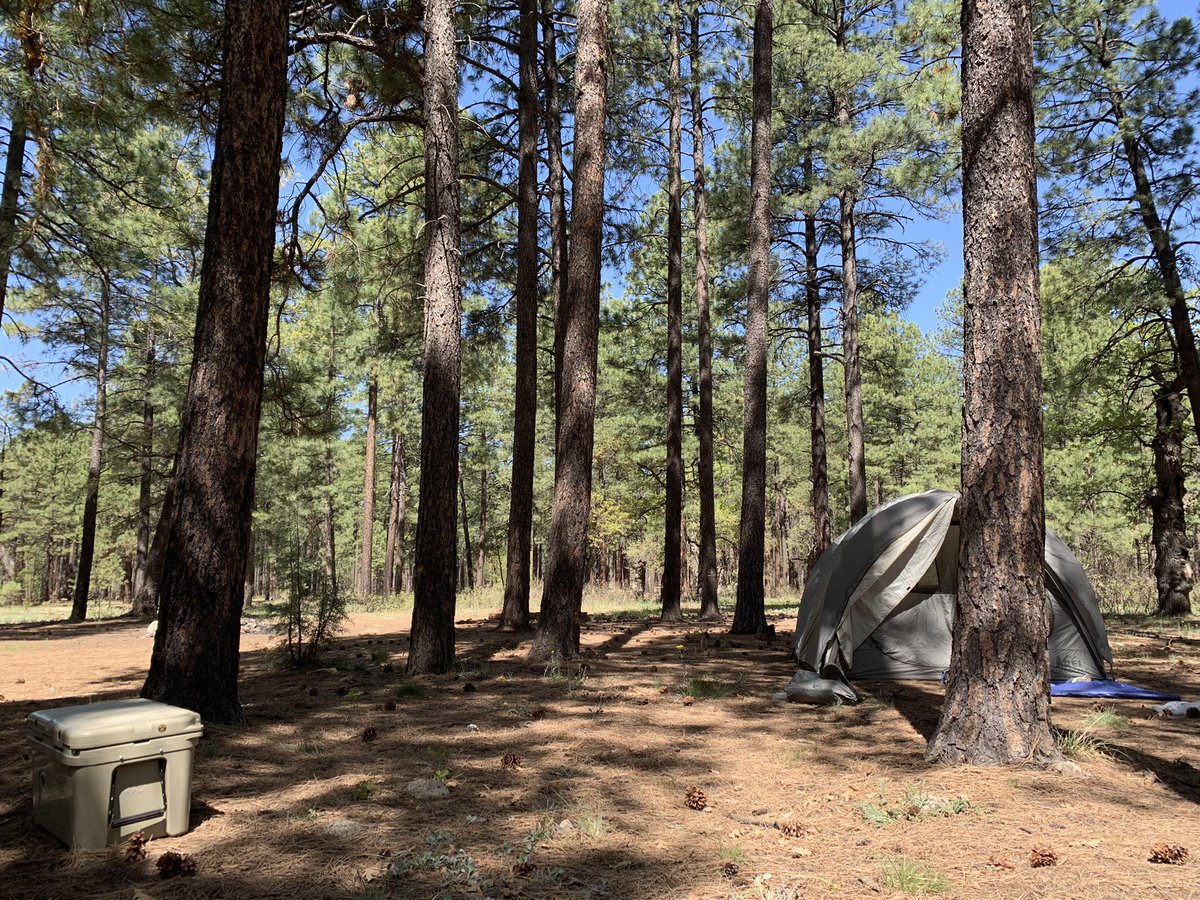 CRBerginMD's tweet image. #AZFire season is already devastating - the Coconino National Forest near Strawberry &amp;amp; Pine is a beautiful area for camping &amp;amp; hiking (pics from mid-May); now in ‘GO’ evacuation status due to #BackboneFire. #TelegraphFire in Tonto Nat’l Forest near Globe forced recent evacs also.
