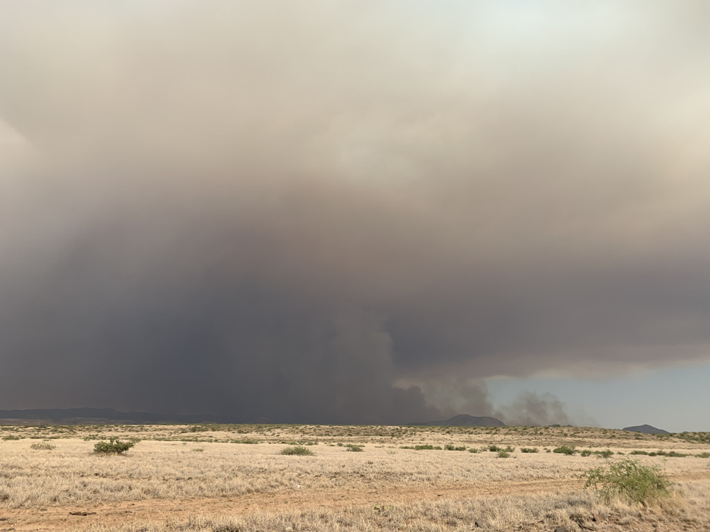 jocdgr8's tweet image. #BackboneFire #forestfire #campverde  from our road near Camp Verde