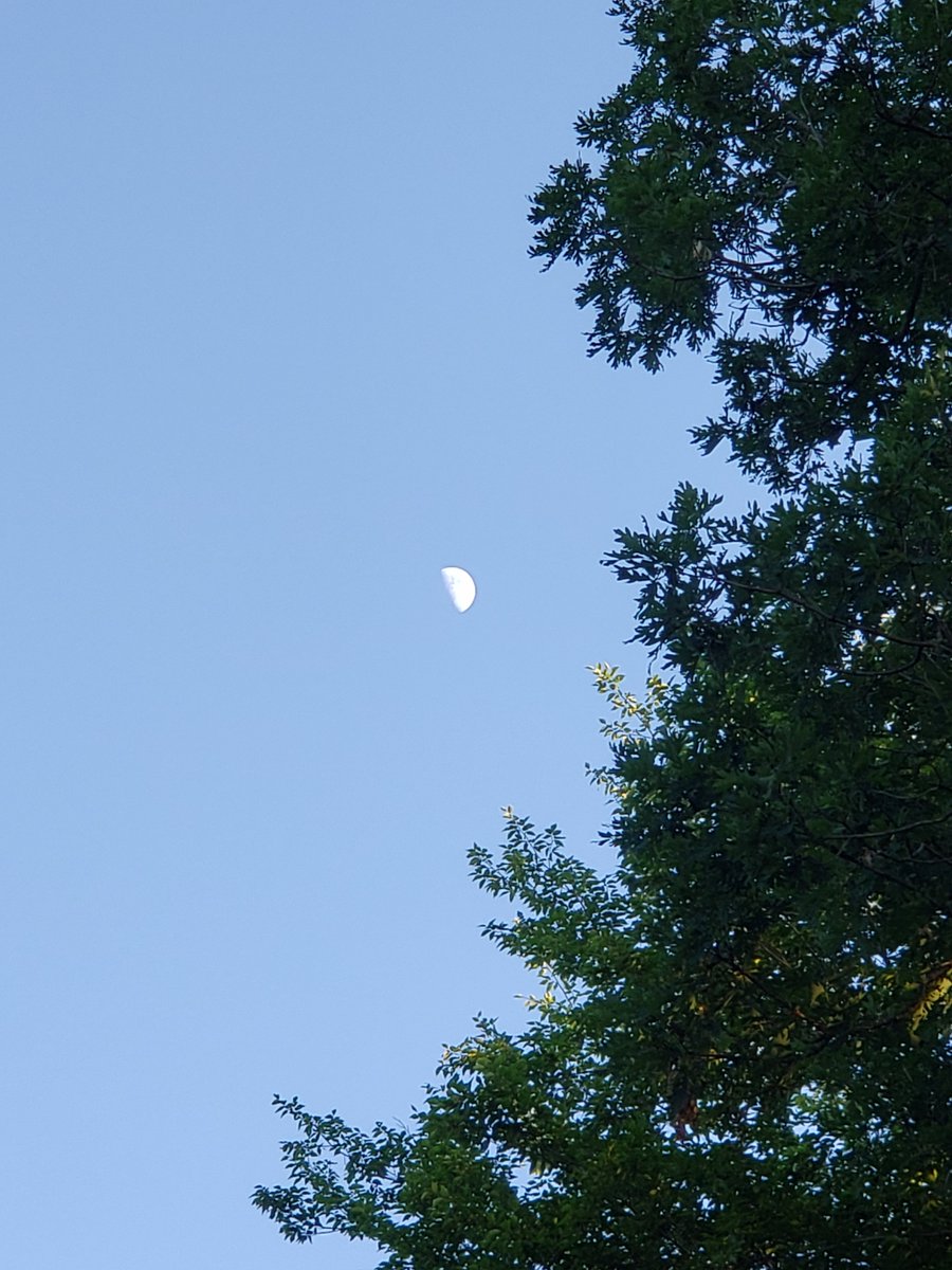 Michael Barone tweet media