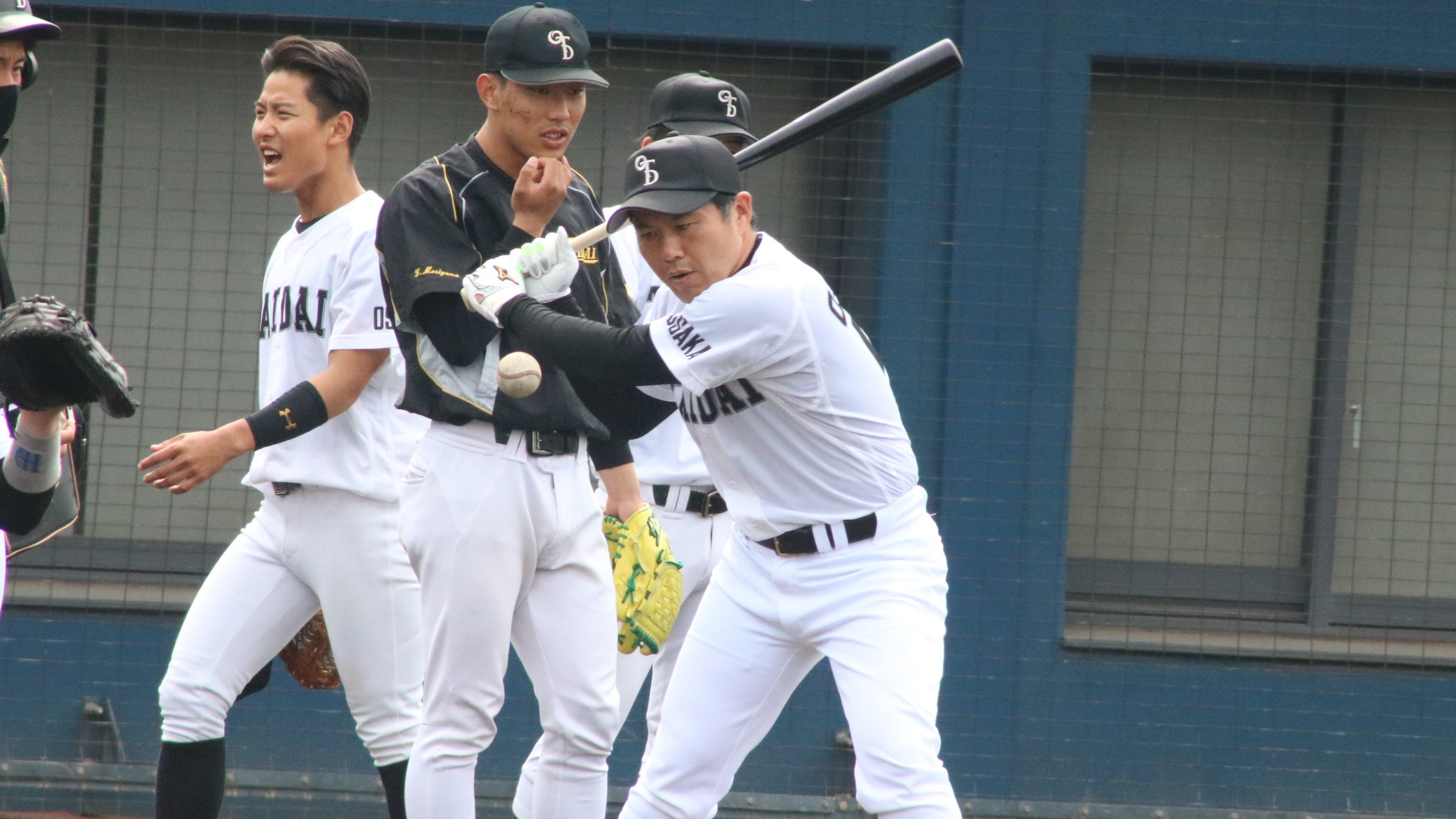 カツナリ 大阪体育大学浪商高等学校 硬式野球部父兄帽子 - ウェア