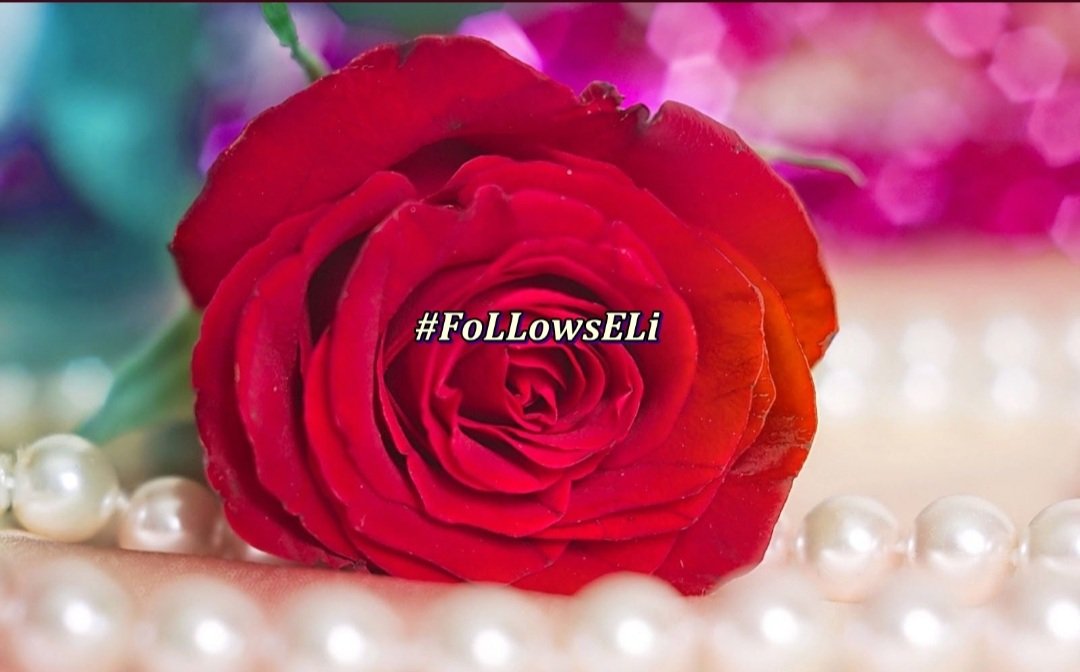 #FollowsEli @Da__Eli @Siogo61 @Bella_Ely_ @jrafael01_ @Ice_DreamS2 @nealhailey @IfbSdv @ganseykid @RobertPage68 @bella_xp @darley__r250 @ElBlondyRD @otrogoga60 @KellevolaKR @AmeliaVicencio @luisalarosa @m7d3ajibne @Luisa1Queen @Annie22462736 @glenton123 @i786GB @cristiangreySDV