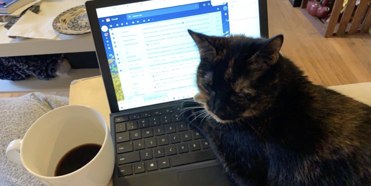 kosmanlab tweet media