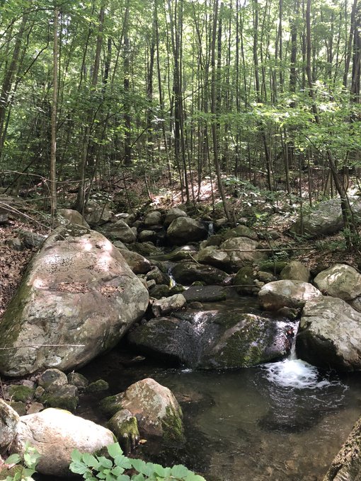 Sherman Brook hike up the Appalachian Trail today. Was passed by two young hikers on there way to Maine<a href="/tag/amazing"class="tags"><span>#amazing</span></a><a href="/tag/crazy"class="tags"><span>#crazy</span></a><a href="/tag/ionlymadeit2miles"class="tags"><span>#ionlymadeit2miles</span></a>