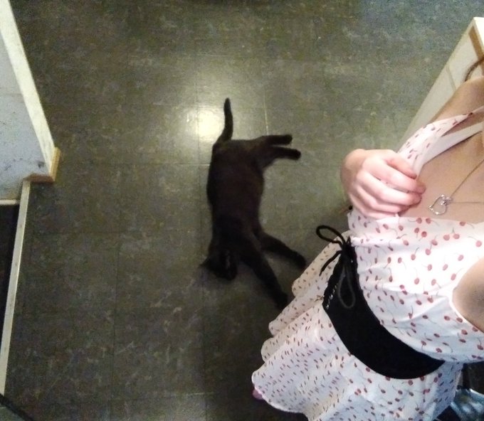 Happy Pride Month!!!!!  My name is Erin/Aaron and my pronouns are she/they. I am bisexual and I don't