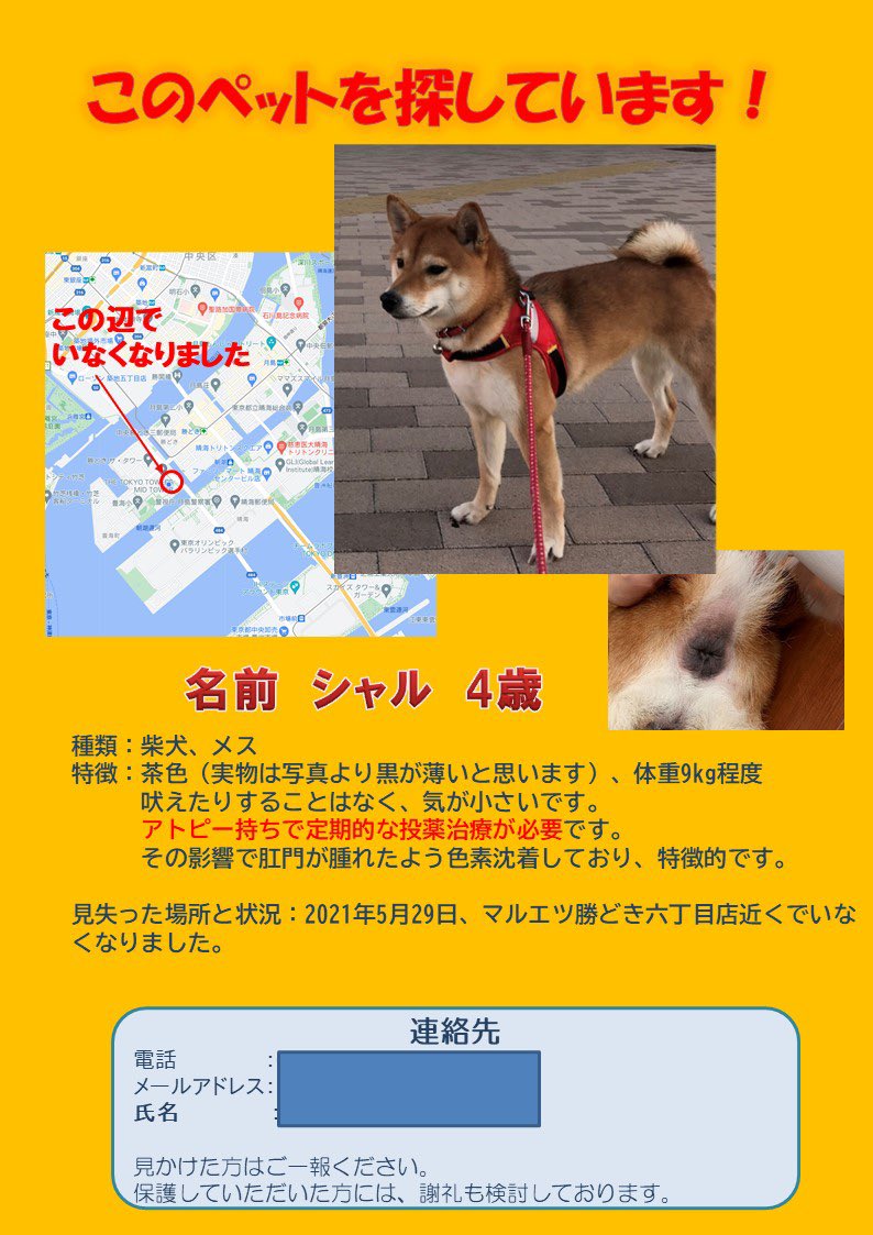 東京都迷い犬シャル探してます (@hallquest628) / X