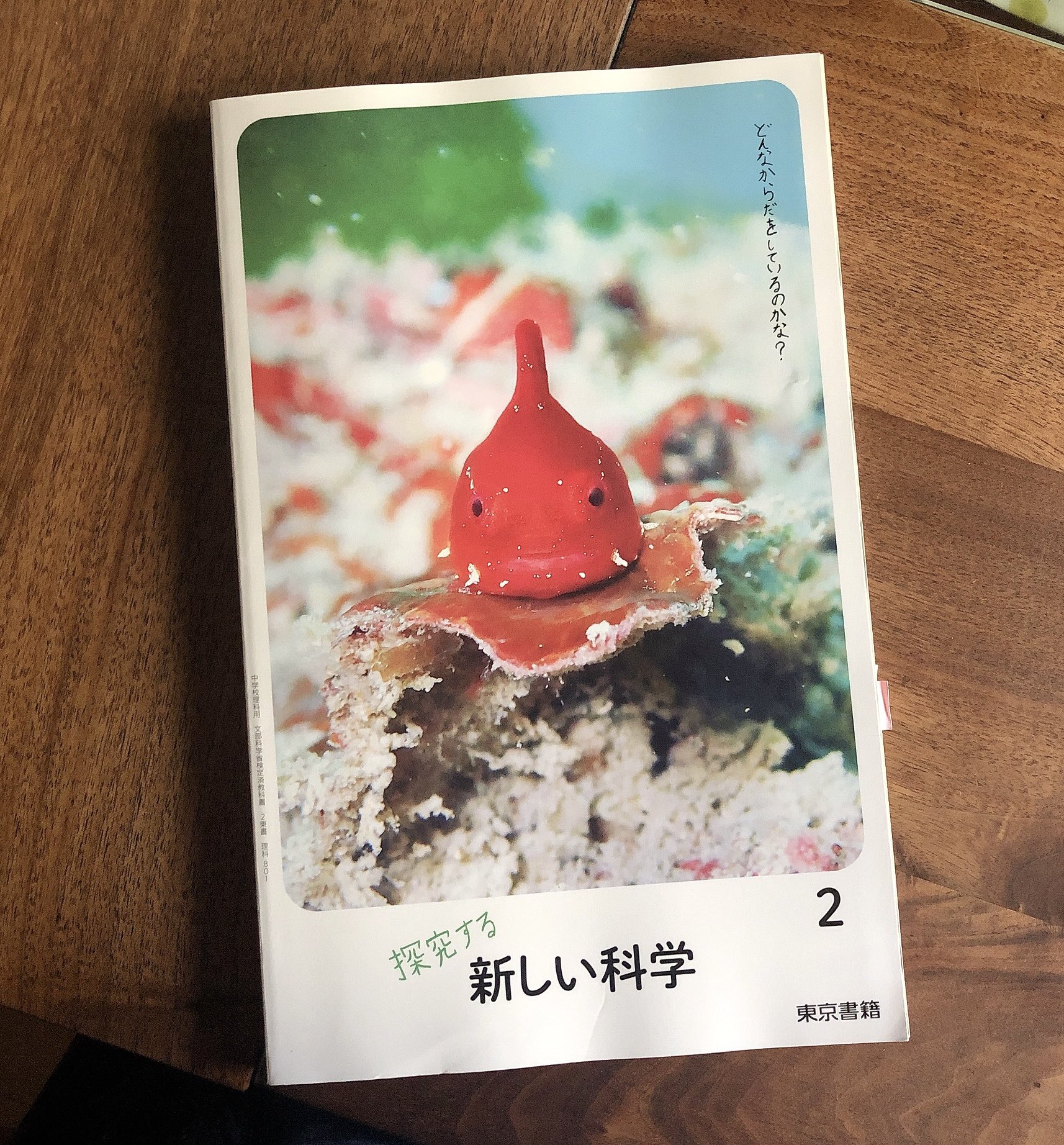 𝑚𝑖𝑦𝑎 今の中2の科学の教科書 かわいいしなんか長い T Co Ivgvegdg Twitter