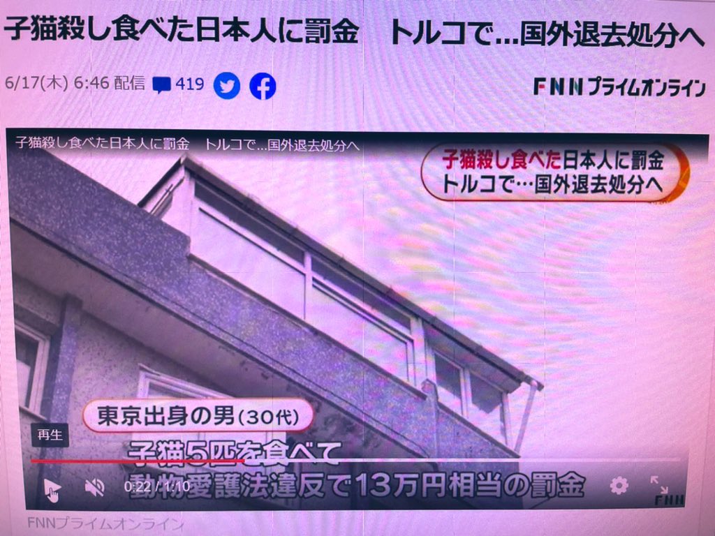 子猫殺し 子猫殺し