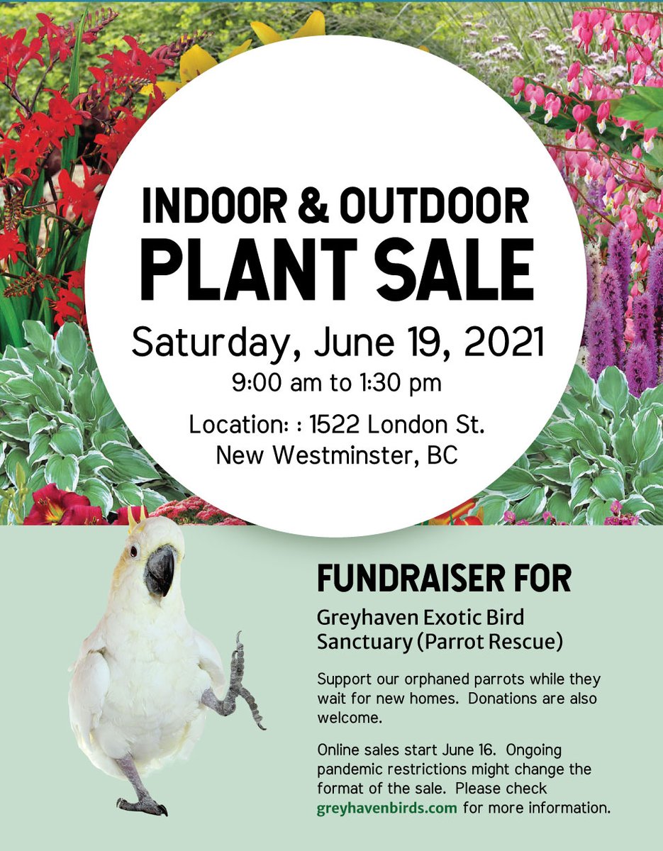 Saturday Fundraising!  Nicholas Read, House Plants, Perennials, Fairy Gardens,  And More! conta.cc/2TrvzYX