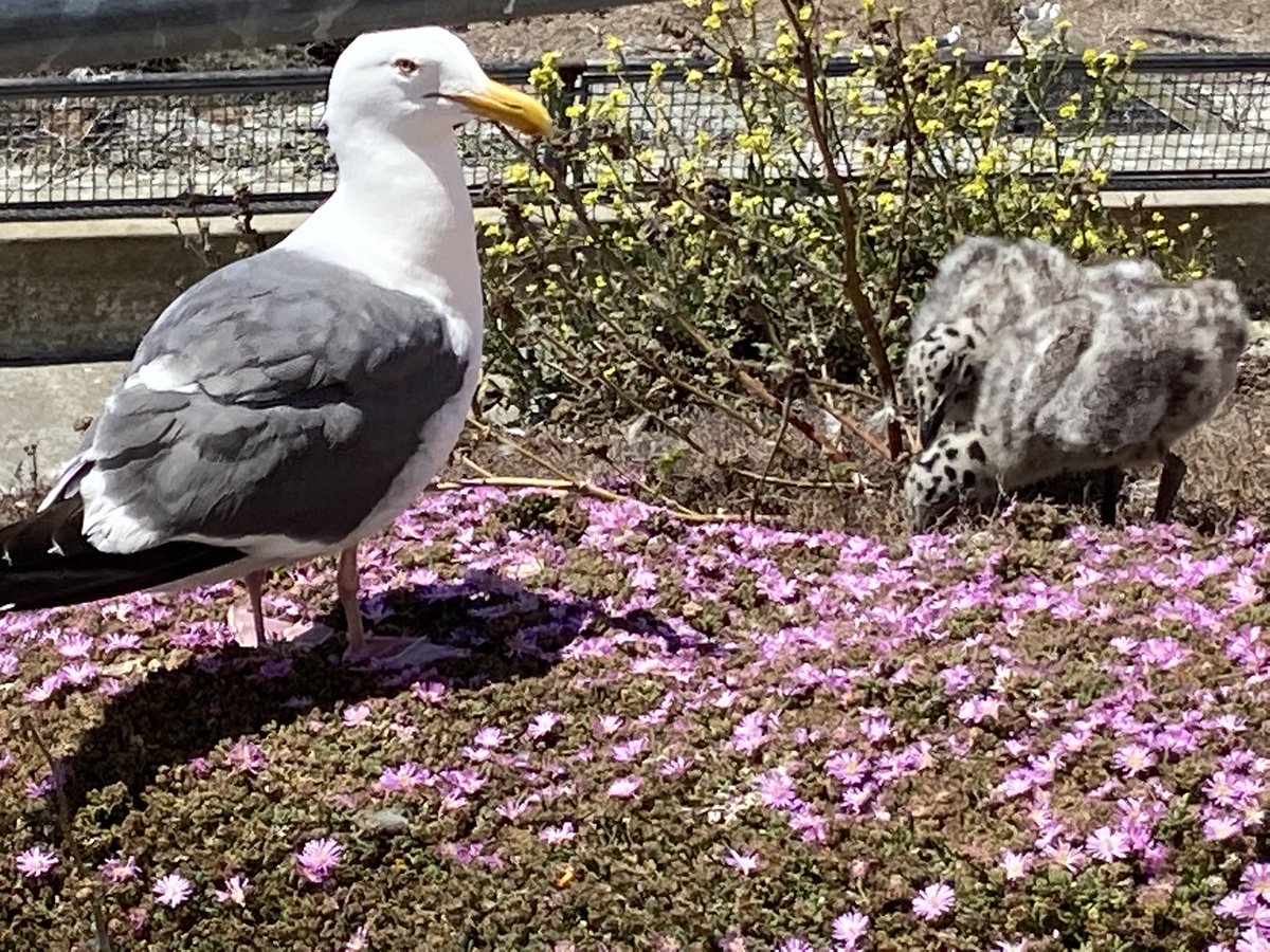 Katie Evans tweet media