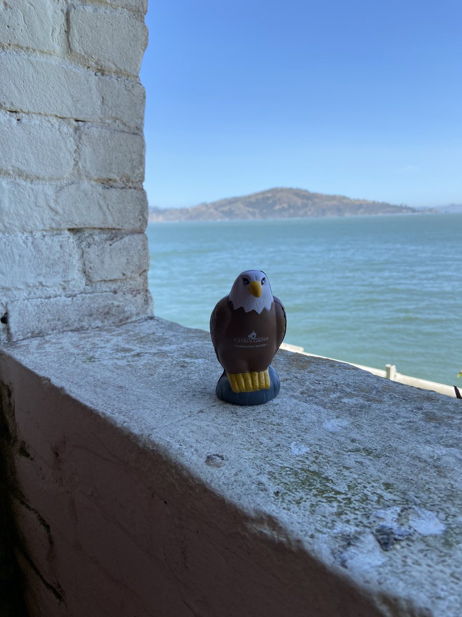 Katie Evans tweet media