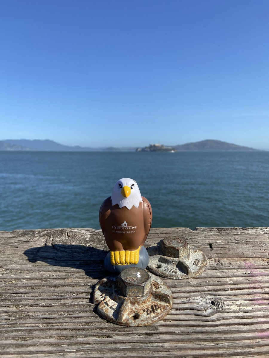 Katie Evans tweet media