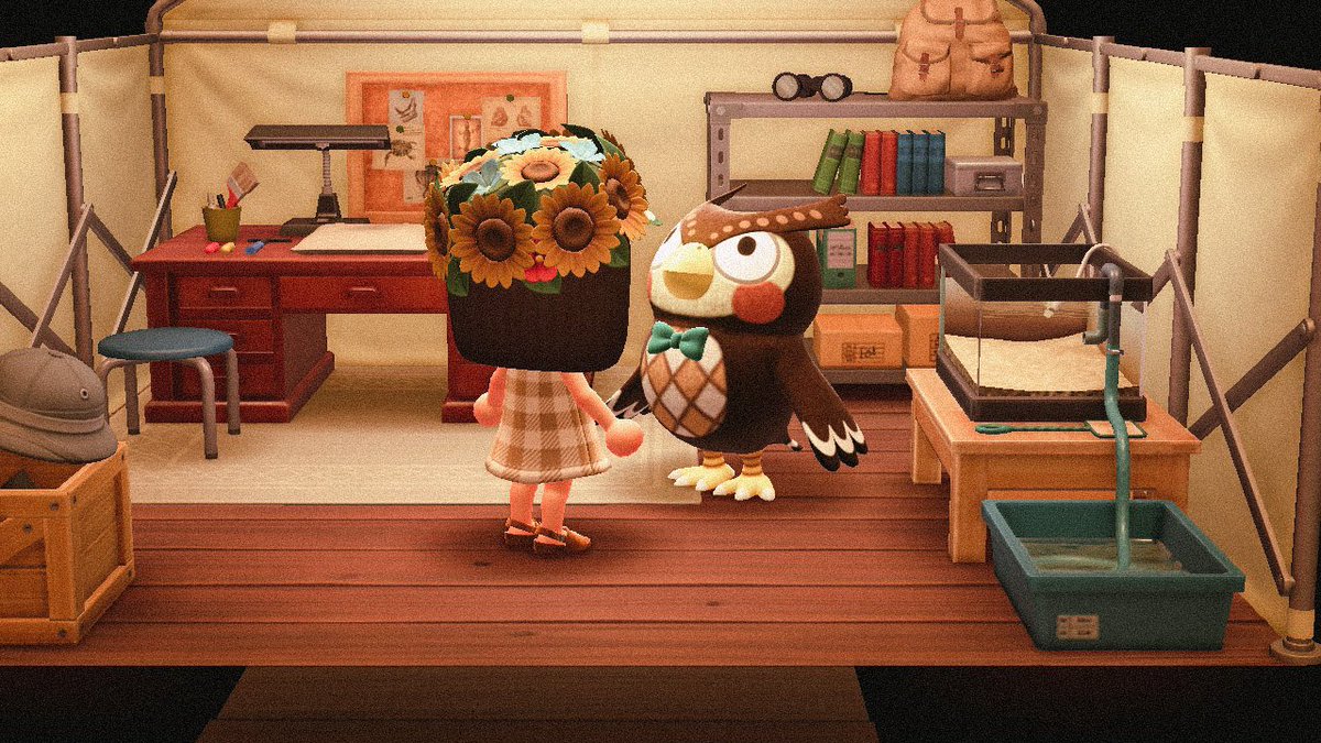 Gloriesx94's tweet photo. Taking a break from my other island, this is the beginning of my second island which I named Furrr Camp πππ
#ACNH #acnhcustom #ACNHDesign #ACNHDesigns #ACNHDesigns #acnhinspo #AnimalCrossing #AnimalCrossingNewHorizions #NintendoSwitch #AnimalCrossingDesign #ACNHtrade https://t.co/C2aSkwEWfQ