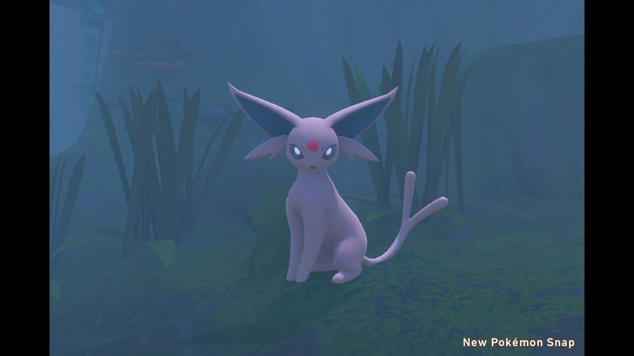 Twitter 上的 公式 プロジェクトイーブイ 続 Newポケモンスナップ でイーブイたちの写真を撮ってみました その３ 野生のイーブイたちがどのように生活しているのか 気になっちゃう T Co 4ry8bh1bwq エーフィ ブラッキー リーフィア