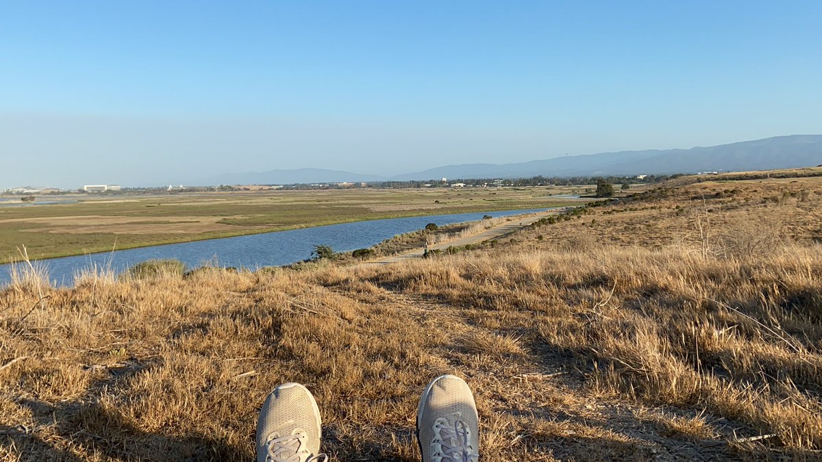 JoshuaButler34's tweet photo. Good spot to stretch? Yep https://t.co/DBKuATLUSG